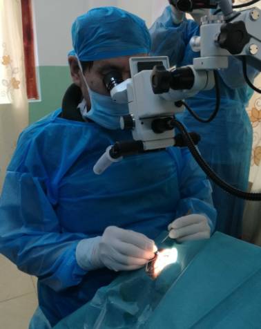 2017年8月1日，霍鸣教授正式受聘为宜昌易游体育院长