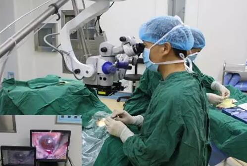 10月24日，成都易游体育CO2激光辅助深层巩膜切除术培训会圆满落幕。本次培训会由成都易游体育青光眼科主任、副主任医师胡建旗医生用猪眼为参会人员演示了CLASS手术全过程，并指导学员进行了实际操作，学员们纷纷表示手术操作简单易懂易学，.jpg