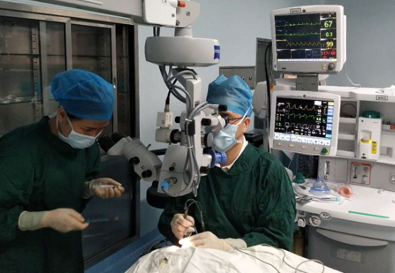 厦门眼科中心白内障专科毛祖红主任迎难而上：为痴呆老人做白内障手术1.png