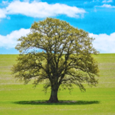 易游体育集团股份有限公司环境保护政策